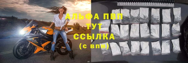 сатива Волосово