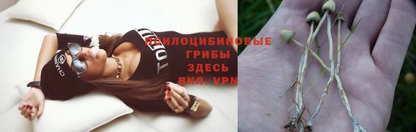 эйфоретик Вязьма