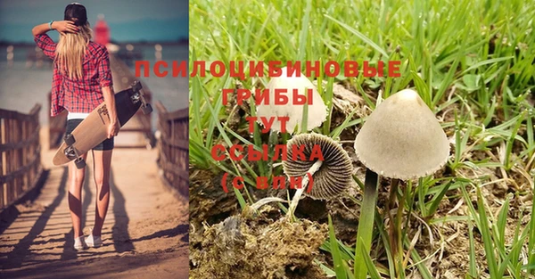 мефедрон мука Вяземский