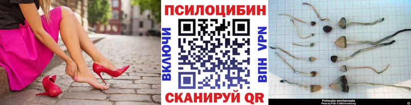 Галлюциногенные грибы прущие грибы  Химки 
